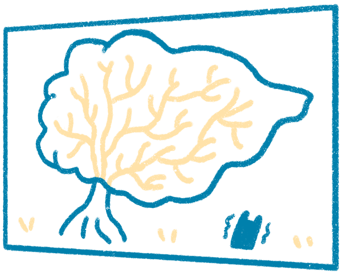 動畫技能樹太雜無從下手?圖片